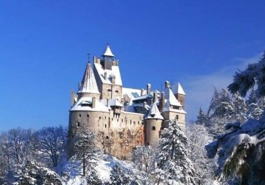 From Bucharest: 2-Day Tour to Brasov and Sighisoara - Sighisoara’s medieval lanes and the Vlad the Impaler thread