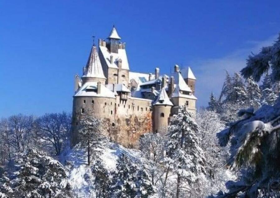 From Bucharest: 2-Day Tour to Brasov and Sighisoara - Private guide energy: when it clicks, the whole trip clicks