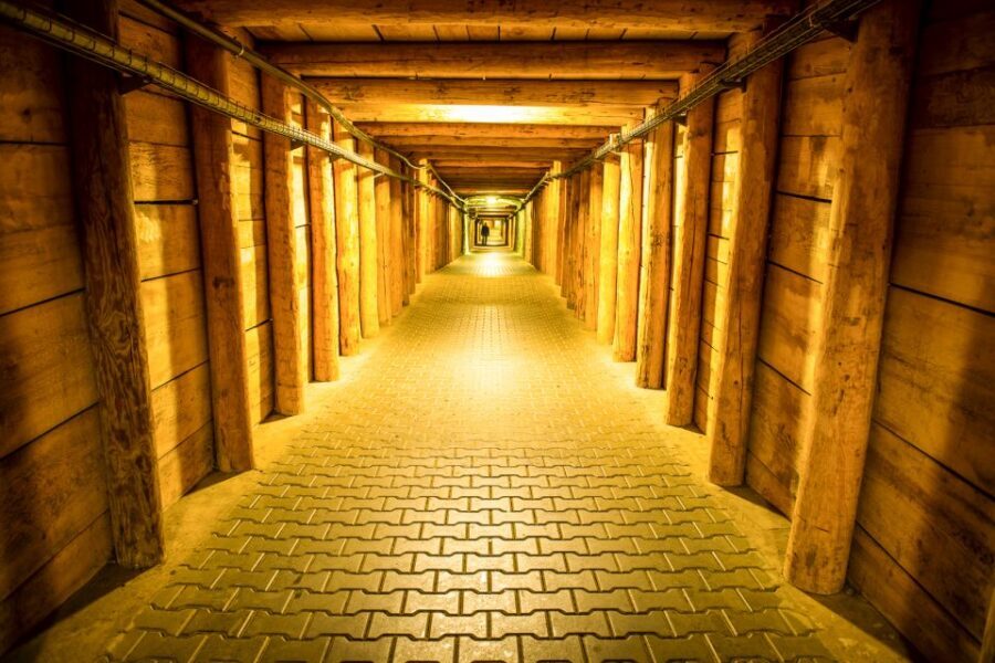 From Krakow: Auschwitz and Wieliczka Salt Mine Full-Day Trip - The pace: early pickup, long day, and how to manage your energy