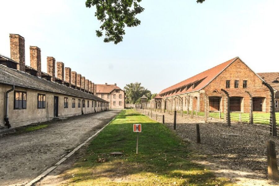 From Krakow: Auschwitz Birkenau and Salt Mine Guided Tour - Why This 2-in-1 Day Trip Actually Makes Sense