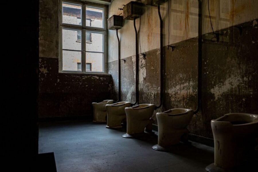 From Krakow: Auschwitz-Birkenau Full-Day Tour - Key things to know before you go