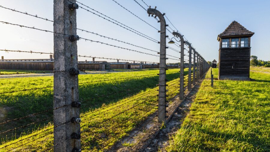 From Krakow: Auschwitz-Birkenau Guided Tour Guaranteed Time - Price and value: what $53 buys you (and what it doesn’t)