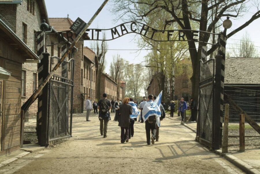 From Krakow: Auschwitz-Birkenau Memorial and Museum Tour - Key Things I’d Note Before You Go