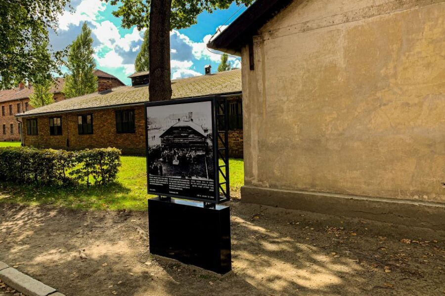 From Krakow: Auschwitz-Birkenau Memorial and Museum Tour - Who This Tour Fits Best (And Who Might Want a Different Option)