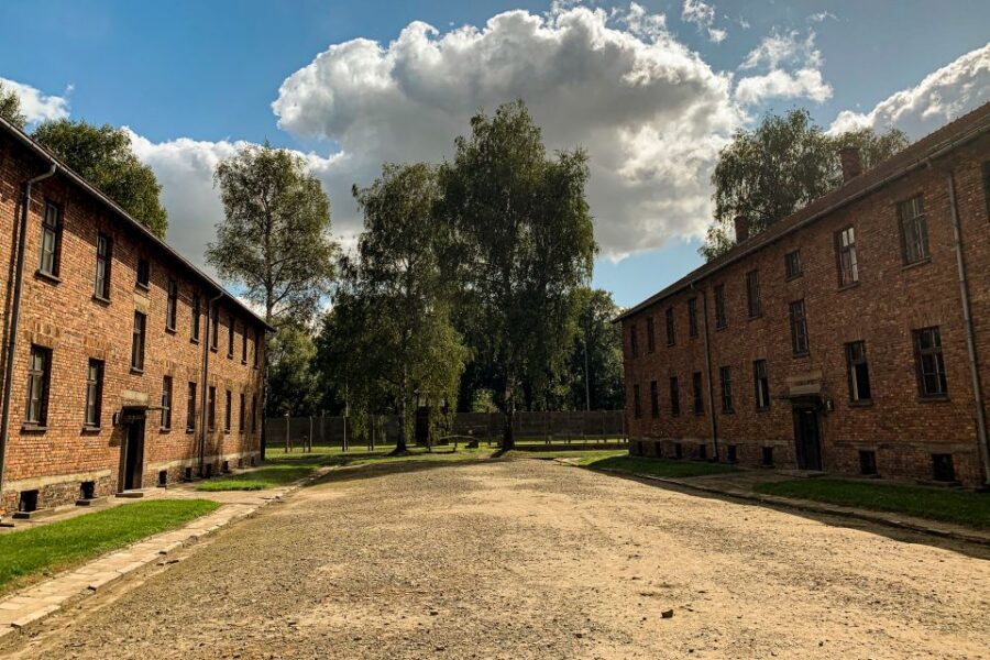From Krakow: Auschwitz-Birkenau Memorial and Museum Tour - Why This Auschwitz-Birkenau Day Trip From Krakow Makes Sense