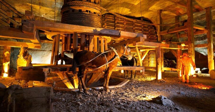 From Krakow: Auschwitz-Birkenau & Salt Mines with Lunch - Key highlights to know before you go