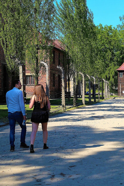 From Krakow: Auschwitz Birkenau Small Group Tour with Pickup - Getting From Krakow: Pickup Timing and the Minivan Reality