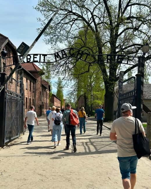 From Krakow: Auschwitz-Birkenau & Wieliczka Salt Mine Tour - Key Things to Know Before You Go