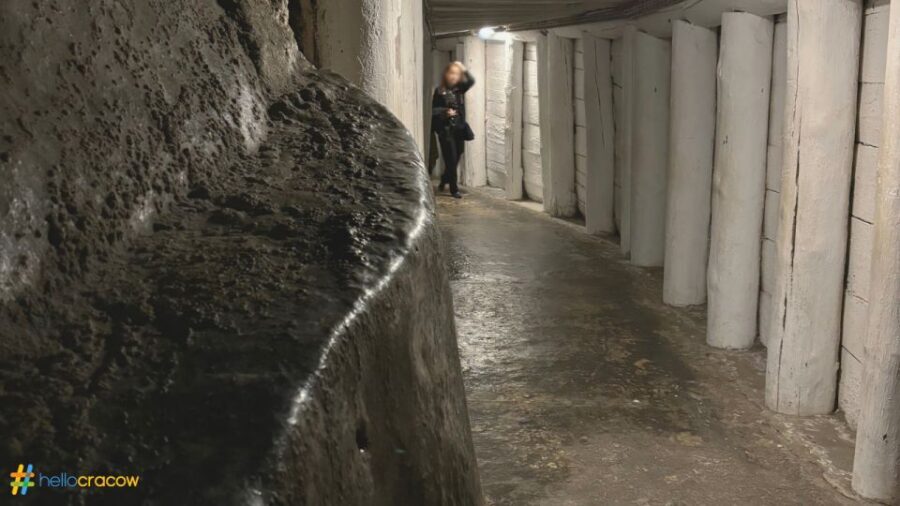 From Krakow: Guided Tour in Wieliczka Salt Mine - What to bring (and what to plan around)