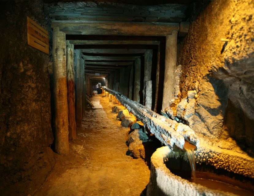 From Krakow: Guided Wieliczka Salt Mine and Chapel Tour - The descent: 700 steps and a 14–17°C reality check
