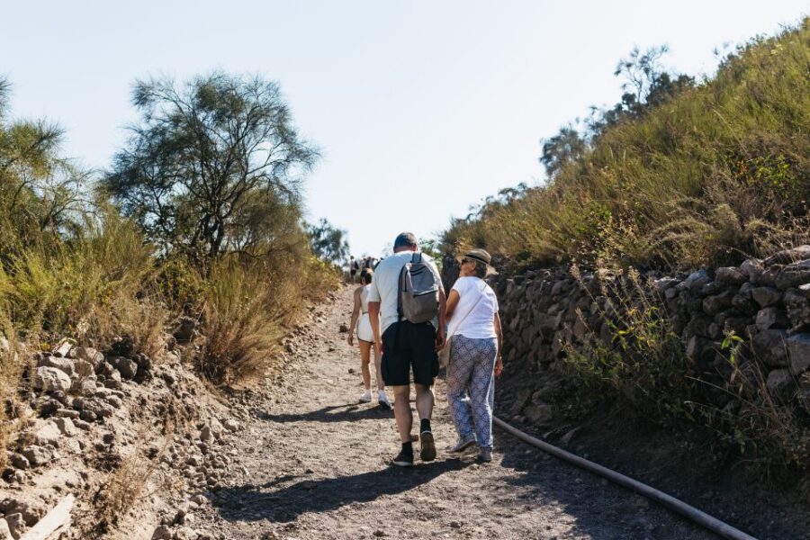 From Naples: All-Inclusive Mount Vesuvius Half-Day Tour - Limoncello stops: bonus, not the whole point