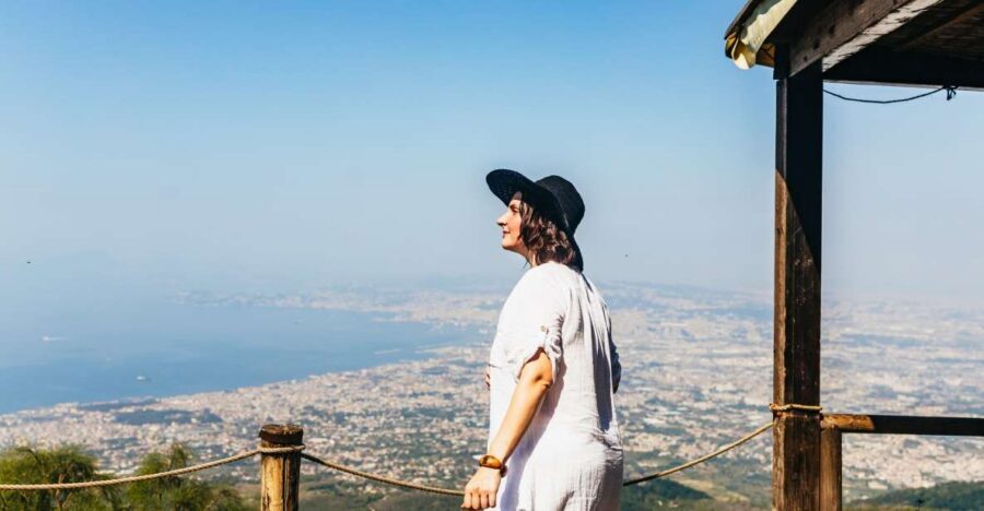 From Naples: All-Inclusive Mount Vesuvius Half-Day Tour - Getting from Naples to Torre del Greco in a comfy minibus