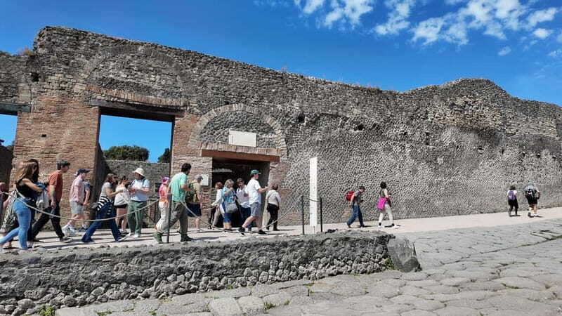 From Naples: Guided tour of Pompeii skip-the-line and round-trip train - Train Comfort Reality Check: Crowding on the Naples Return
