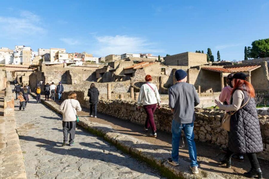 From Naples: Herculaneum Skip-the-Line Guided Tour - Your 90 minutes with an archaeologist: the main stops you will see