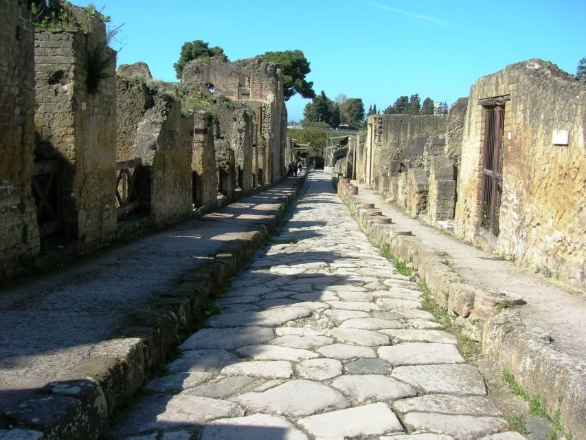 From Naples: Herculaneum Skip-the-Line Guided Tour - Price value check: is $63 fair for what you get?