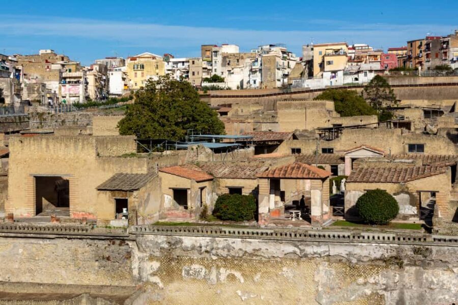 From Naples: Herculaneum Skip-the-Line Guided Tour - Skip-the-line at Herculaneum: what priority access really changes