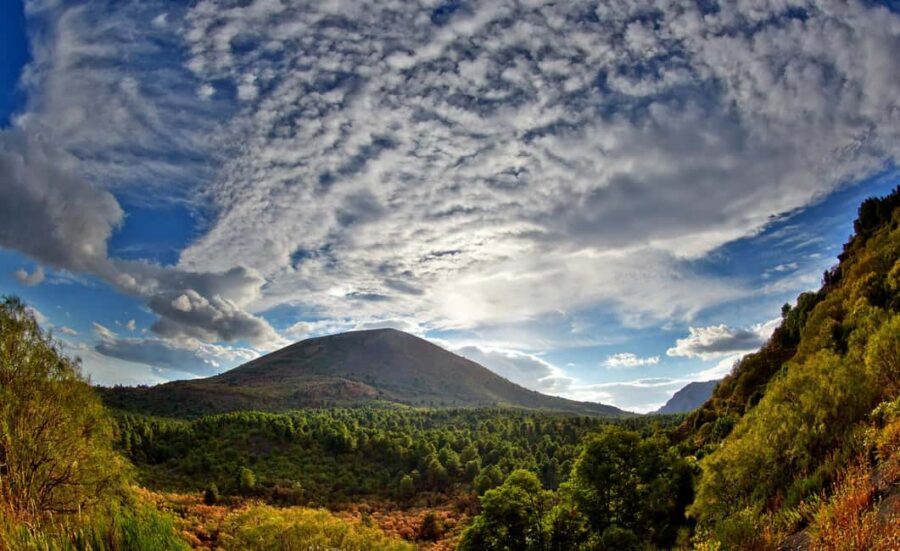 From Naples: Mount Vesuvius Half-Day Tour with Lunch - The Climb: What the 1,000-Meter Drive and 500-Meter Walk Actually Mean