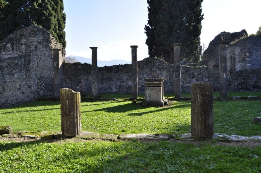 From Naples or Pompeii: Pompeii Skip-the-Line Entry and Tour - The Real Value of Skip-the-Line in Pompeii