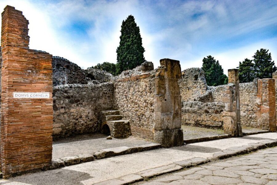 From Naples: Pompeii and Vesuvius Full-Day Tour with Lunch - Should you book this Naples Pompeii and Vesuvius tour?