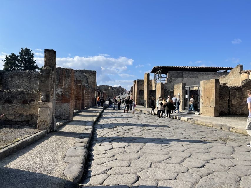 From Naples: Pompeii Guided Tour with Skip-the-Line Tickets - Key things I’d watch for