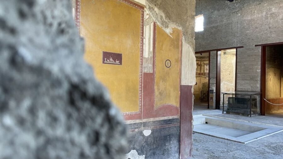 From Naples: Pompeii Guided Tour with Skip-the-Line Tickets - Naples pickup and van ride: comfort, clarity, and timing