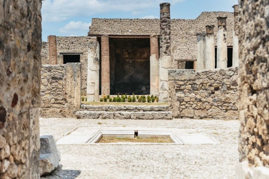 From Naples: Pompeii Ruins & Mount Vesuvius Day Tour - Practical tips that make the difference