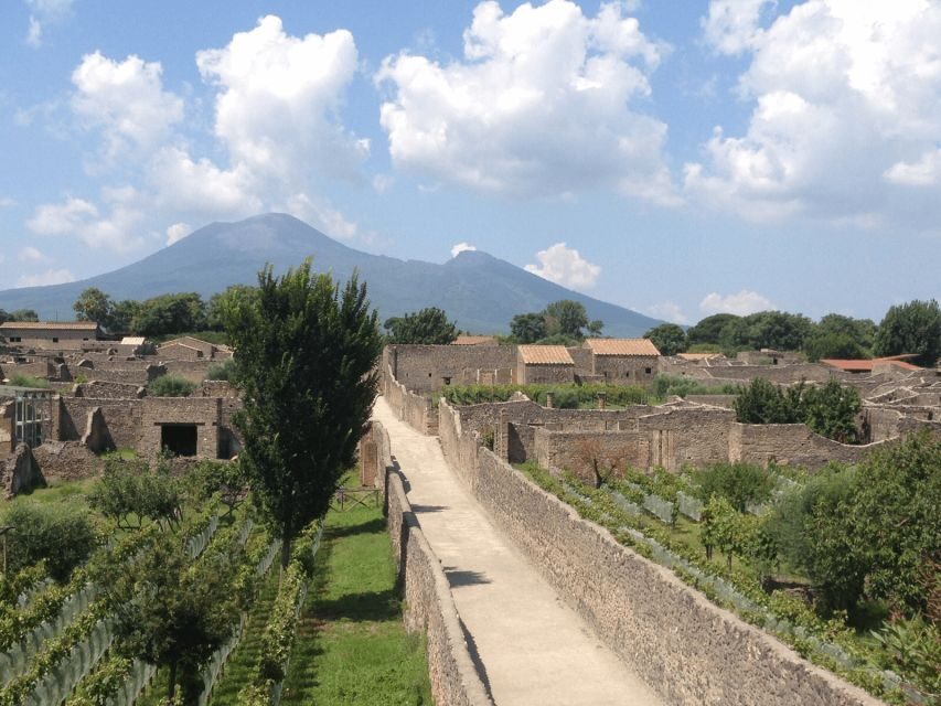 From Naples: Pompeii Ruins VIP Guided Tour - The Pompeii walking route: what your 2 hours is really for