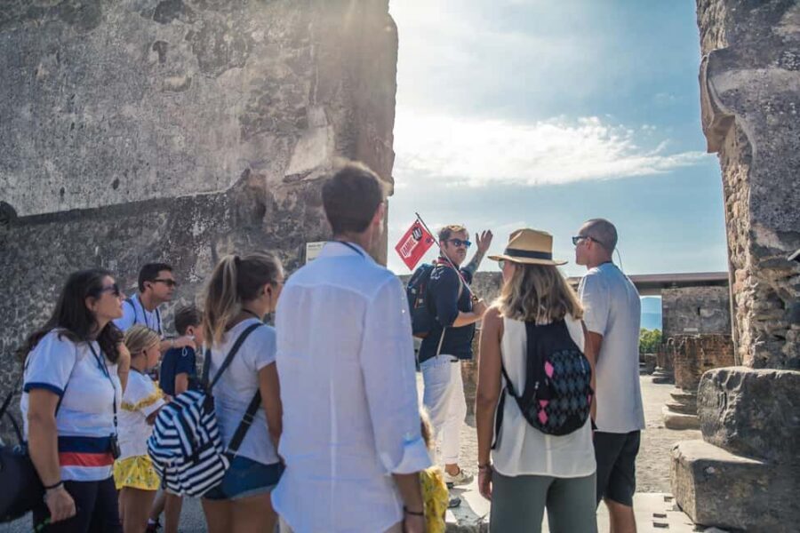 From Naples: Pompeii Skip-the-Line Guided Tour - House of the Faun and the Alexander Mosaic: Wealth You Can See
