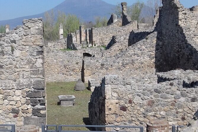 From Naples: Pompeii & Wine Tasting" Private Day Tour - The Optional 2-Hour Licensed Guide (E150 Cash): When It’s Worth It