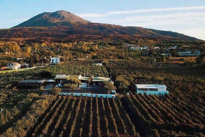 From Naples: Pompeii & Wine Tasting" Private Day Tour - Pompeii Archaeological Park: Your Two-Hour Window