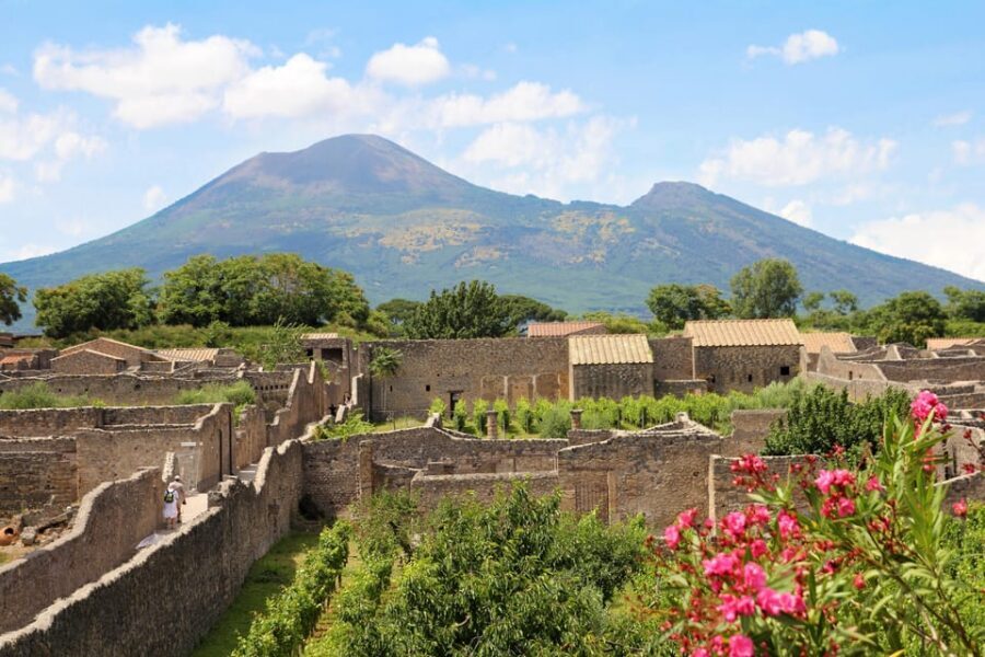 From Naples Port:Pompeii+Vesuvius tour - Meeting Outside Hotel Romeo: Easy Naples Port Pickup