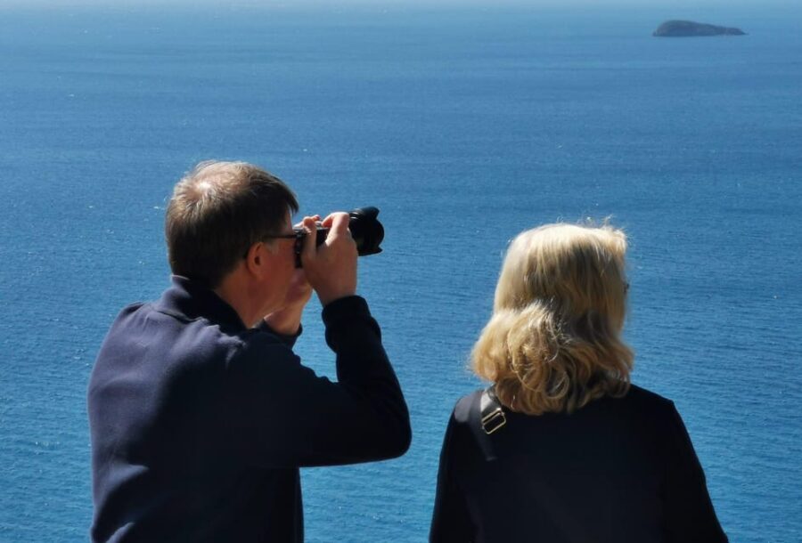 From Naples: Private Tour to Pompeii, Sorrento, and Positano - Key Highlights You’ll Actually Care About
