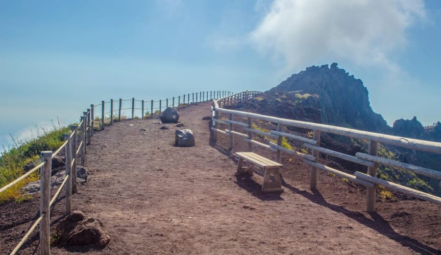 From Naples: Vesuvius and Herculaneum Day Trip with Tickets - Key points before you go