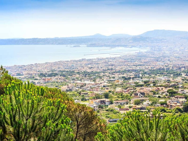 From Naples: Vesuvius Easy Tour - Vesuvio National Park stop: What you do with your free time