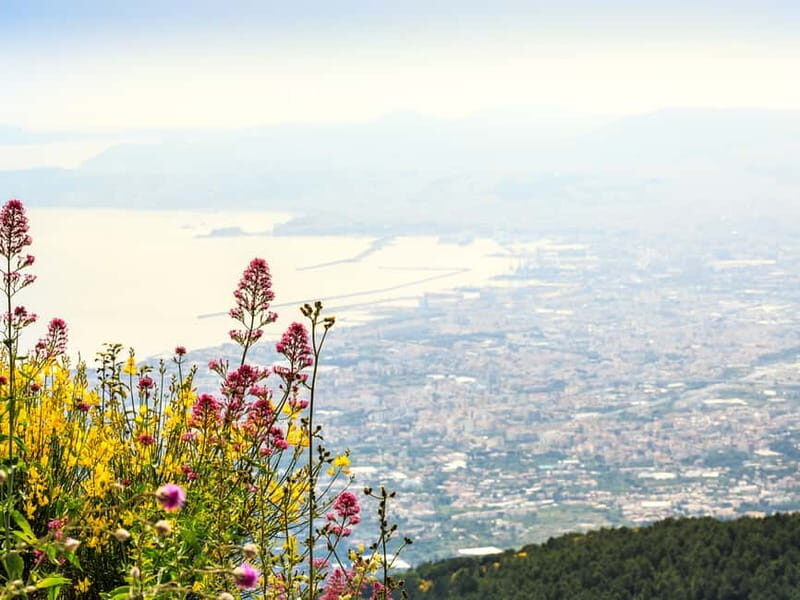 From Naples: Vesuvius Easy Tour - Minibus ride to 1,000 meters: Comfort that actually matters
