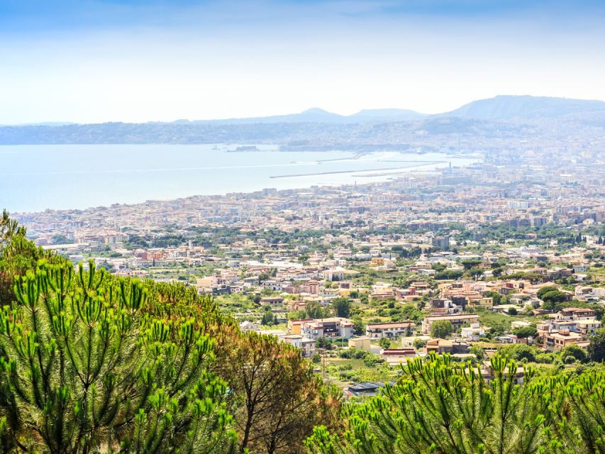 From Naples: Vesuvius & Pompeii with Transfer & Audio Guide - Vesuvius National Park: The Walk to the Crater Begins from Higher Ground