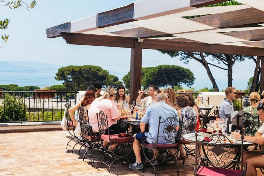 From Naples: Wine Tasting Tour on Vesuvius Slopes with Lunch - Key highlights at a glance