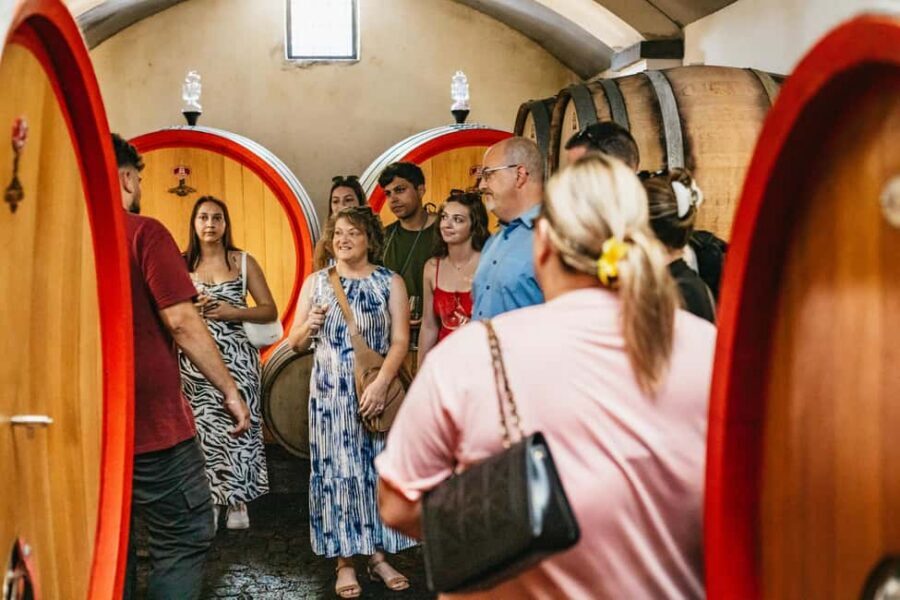 From Naples: Wine Tasting Tour on Vesuvius Slopes with Lunch - Panoramic views over Naples and Sorrento: the view is part of the lesson