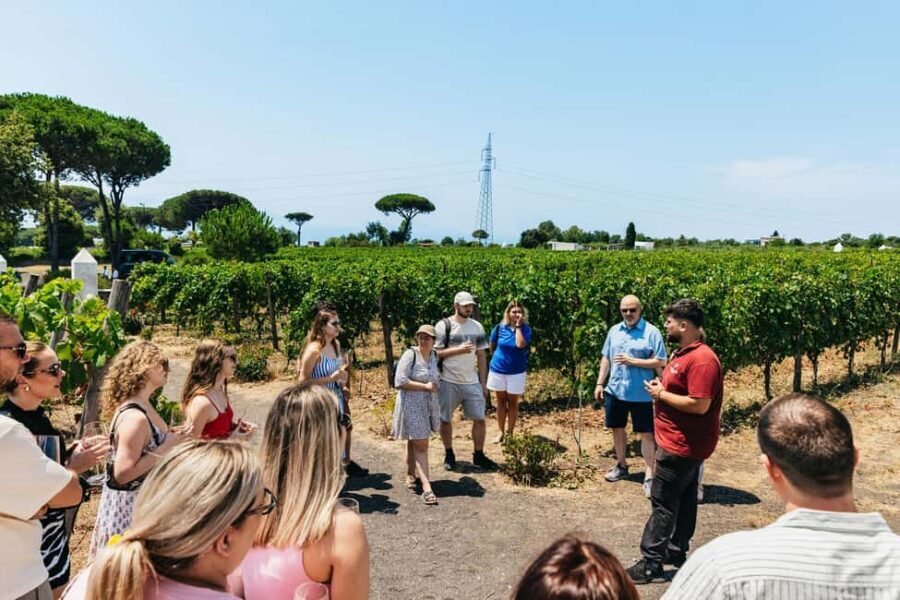 From Naples: Wine Tasting Tour on Vesuvius Slopes with Lunch - What I’d call out as the main drawback