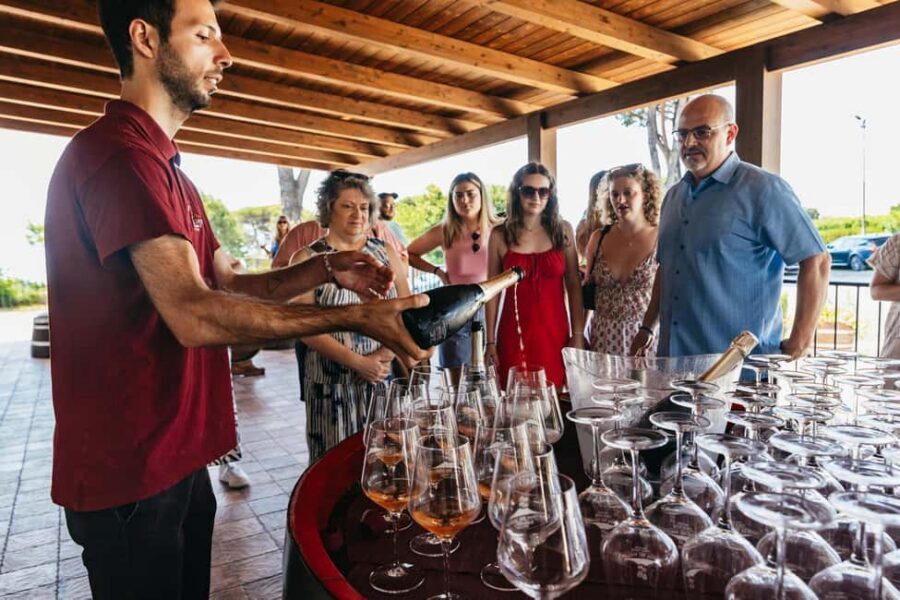 From Naples: Wine Tasting Tour on Vesuvius Slopes with Lunch - Who this tour suits best (and who should skip it)