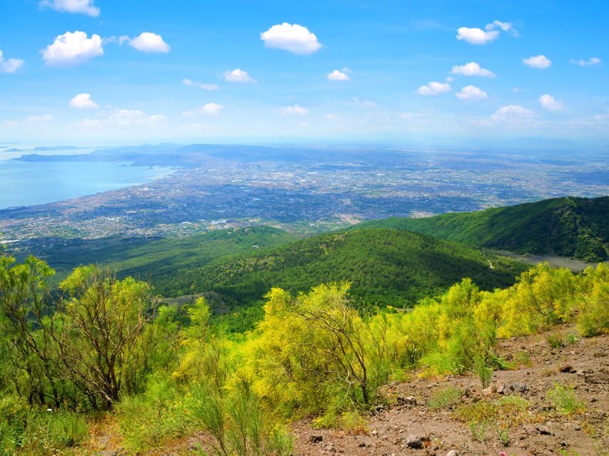 From Pompeii: Bus Transfer to Vesuvius with Park Entry Fee - Key tour takeaways before you go