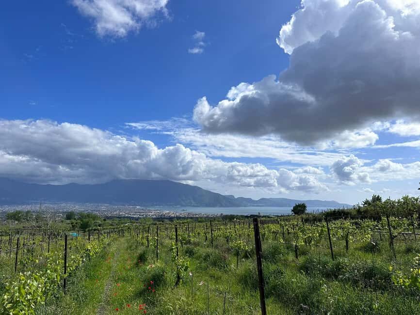 From Pompeii: Mount Vesuvius Horseback Riding Tour - Key things to know before you ride Vesuvius