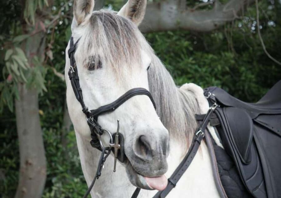 From Pompeii: Mount Vesuvius Horseback Riding Tour - Getting from Pompeii to the stables: the ride starts before the ride