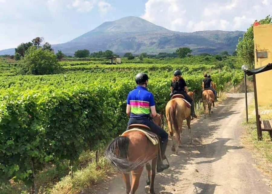 From Pompeii: Mount Vesuvius Horseback Riding Tour - Your 1-hour horseback route: fresh air, vineyard views, and guided pacing