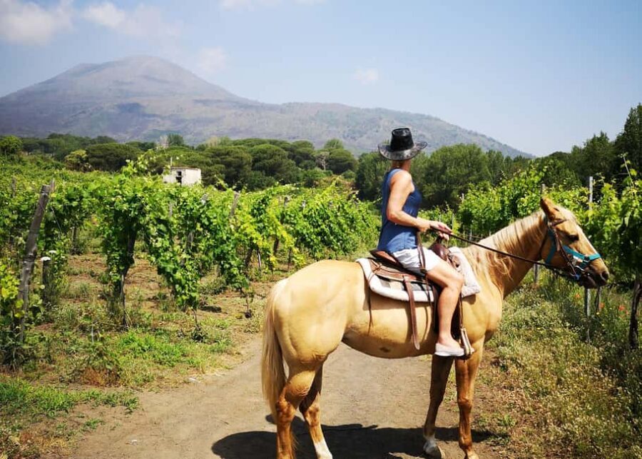 From Pompeii: Mount Vesuvius Horseback Riding Tour - What about food and drinks? Plan around what isn’t included