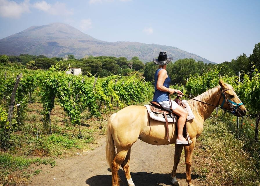 From Pompeii: Mount Vesuvius Horseback Riding Tour - Price and value: what you’re paying for at $79.30