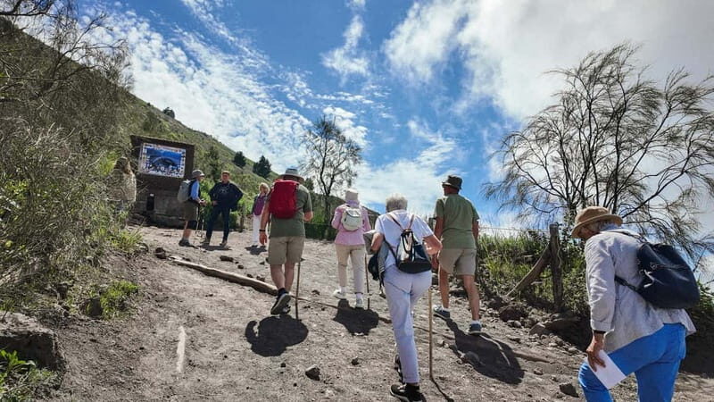 From Pompeii: Mount Vesuvius with bus, ticket and audioguide - Entrance Ticket Timing: Optional Add-On and Why It Can Save You Stress