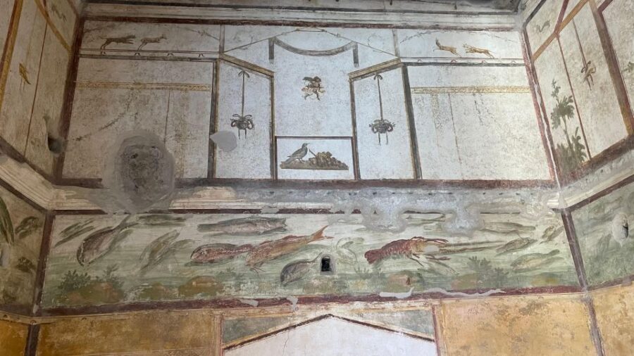 From Positano: Pompeii, Vesuvius, & Wine Tasting with Lunch - Why This Positano Day Trip Feels Efficient