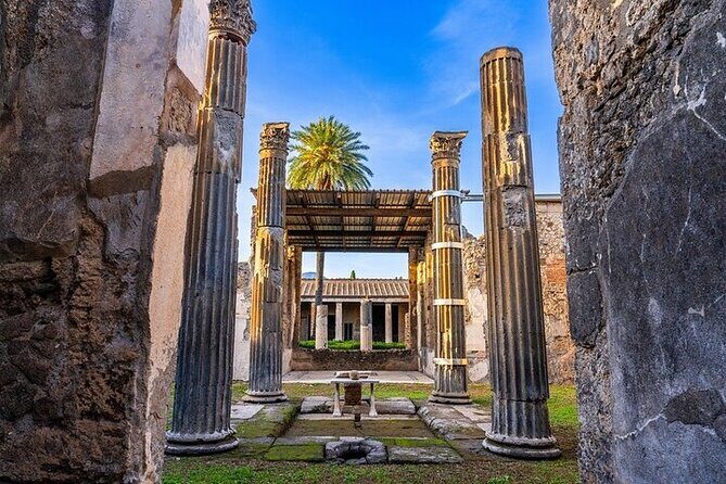 From Rome: Best of Pompeii Guided Tour and Sorrento Day Trip - Who Should Book This Day Trip (and Who Should Skip It)