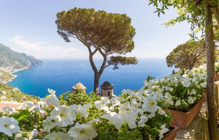 From Rome: Day Trip to Pompeii, Positano, and Amalfi - Quick Hits Before You Go